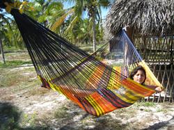 Cancun hammock